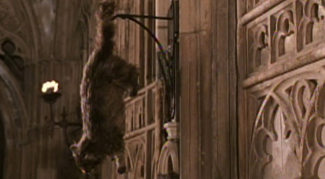 Harry Potter and the Chamber of Secrets - Mrs. Norris cat petrified hanging from sconce