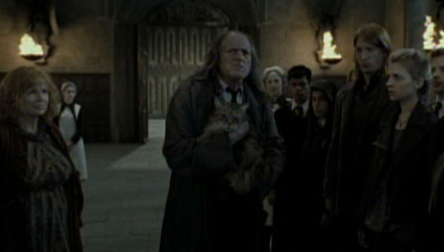Harry Potter and the Deathly Hallows Part Two - Argus Filch holding cat Mrs. Norris