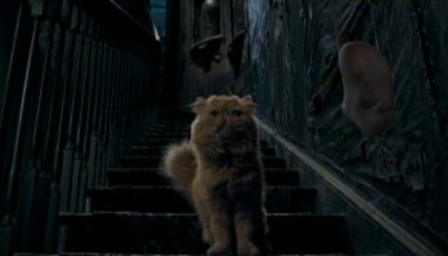 Harry Potter and the Order of the Phoenix - Crookshanks cat and Weasley eavesdropping ear