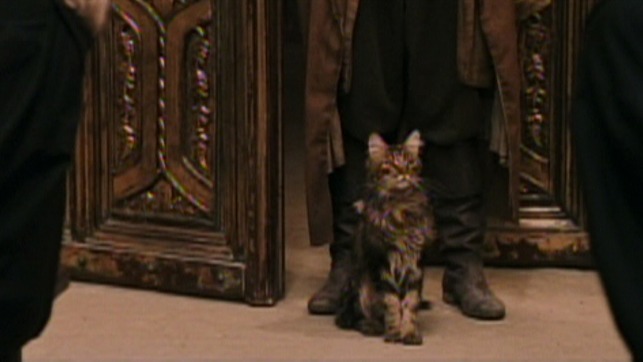 Harry Potter and the Philosopher's Stone - Argus Filch's cat Mrs. Norris