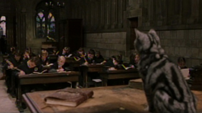 Harry Potter and the Philosopher's Stone - Prof. McGonagall as a cat on desk