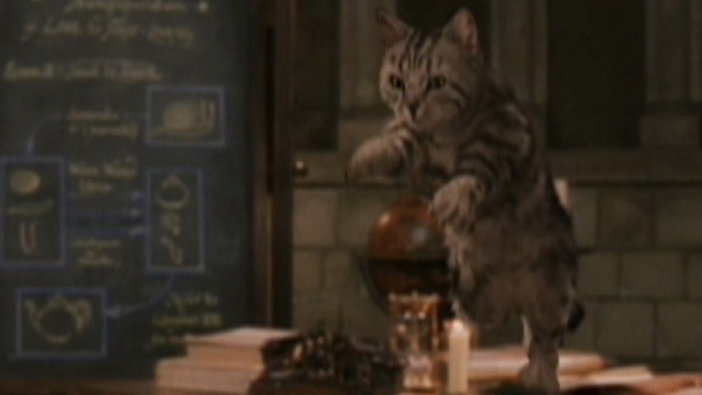Harry Potter and the Philosopher's Stone - Prof. McGonagall as a cat transfigures