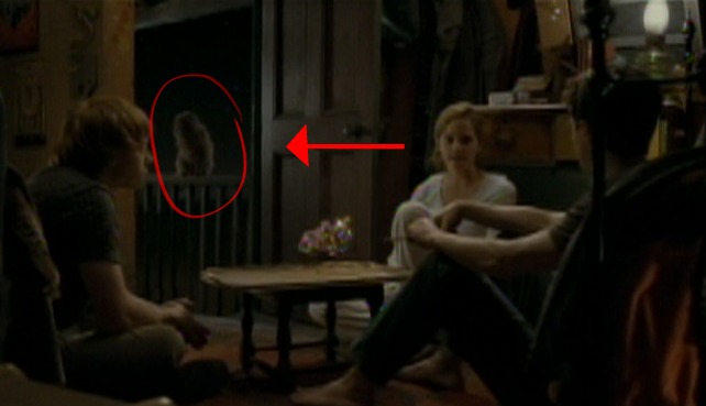 Harry Potter and the Half-Blood Prince - Crookshanks cat in background