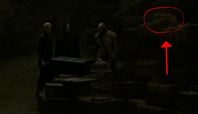 Harry Potter and the Half-Blood Prince - Crookshanks cat in background