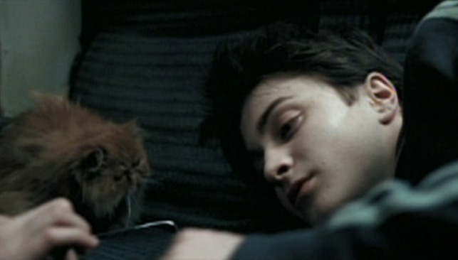 Harry Potter and the Prisoner of Azkaban - Crookshanks next to Harry on train