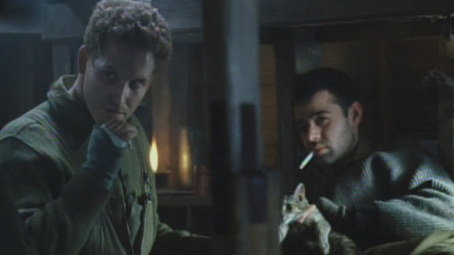 Hart's War - Sgt. Webb Rory Cochrane and Staff Sgt. Bedford Cole Hauser with grey tabby cat