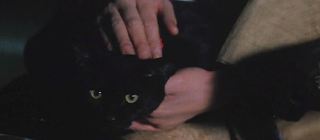 The Haunted Castle - Hiroku kaibyô-den - black cat Tama held by hands