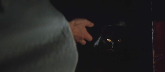 The Haunted Castle - Hiroku kaibyô-den - black cat Tama inside palanquin