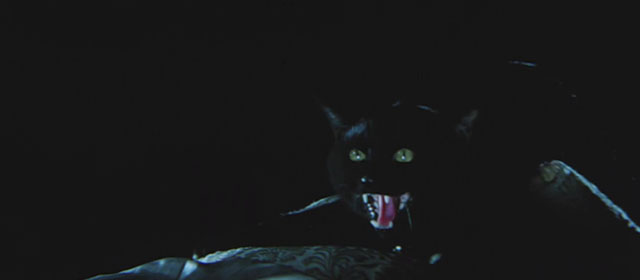 The Haunted Castle - Hiroku kaibyô-den - black cat Tama hissing
