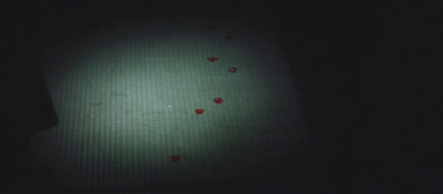The Haunted Castle - Hiroku kaibyô-den - bloody paw prints on tatami mat