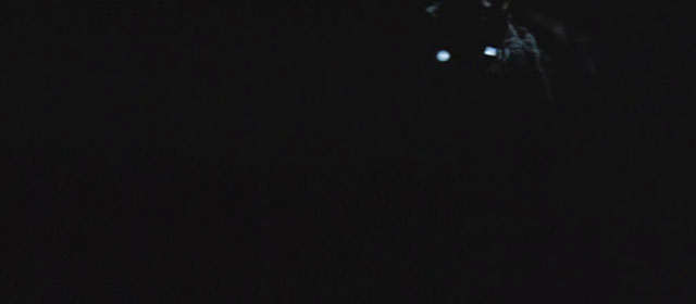The Haunted Castle - Hiroku kaibyô-den - black cat Tama glowing eyes