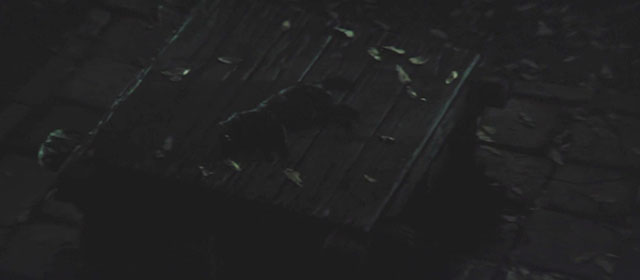 The Haunted Castle - Hiroku kaibyô-den - body of black cat Tama lying on top of well