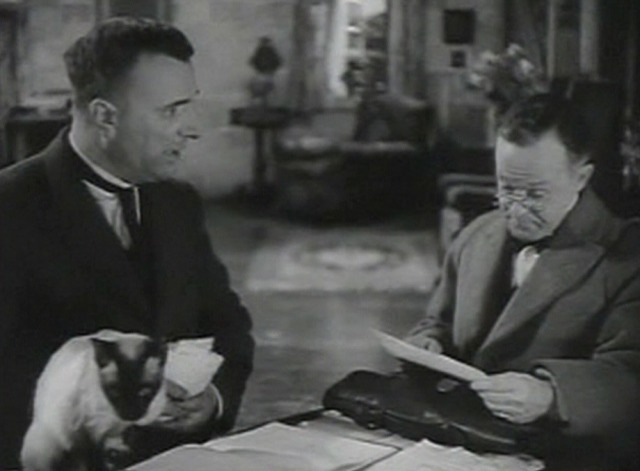 Haunted Honeymoon - Siamese cat on Noakes' desk