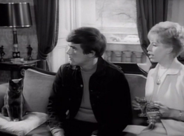 Having a Wild Weekend - gray cat sitting on couch with Steve Dave Clark and Nan Yootha Joyce