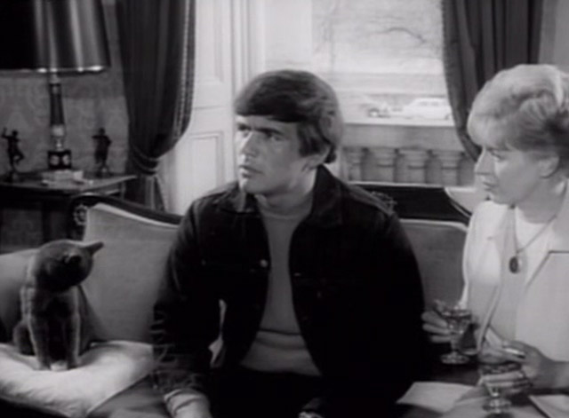 Having a Wild Weekend - gray cat preening on couch with Steve Dave Clark and Nan Yootha Joyce