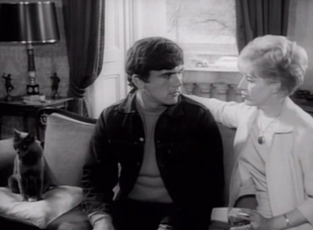 Having a Wild Weekend - gray cat sitting on couch with Steve Dave Clark and Nan Yootha Joyce