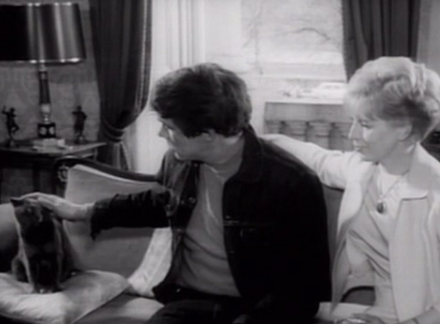 Having a Wild Weekend - gray cat sitting on couch being petted by Steve Dave Clark with Nan Yootha Joyce