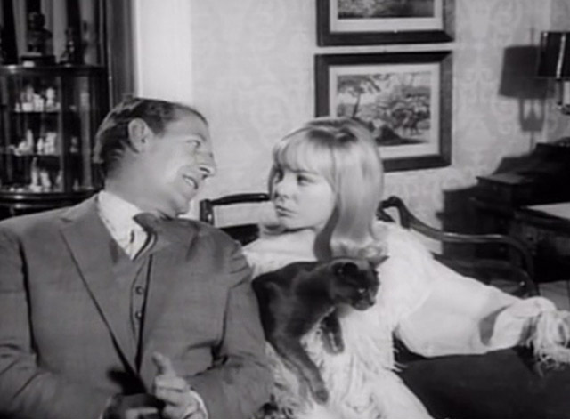 Having a Wild Weekend - Dinah Barbara Ferris holding gray cat on couch with Guy Robin Bailey