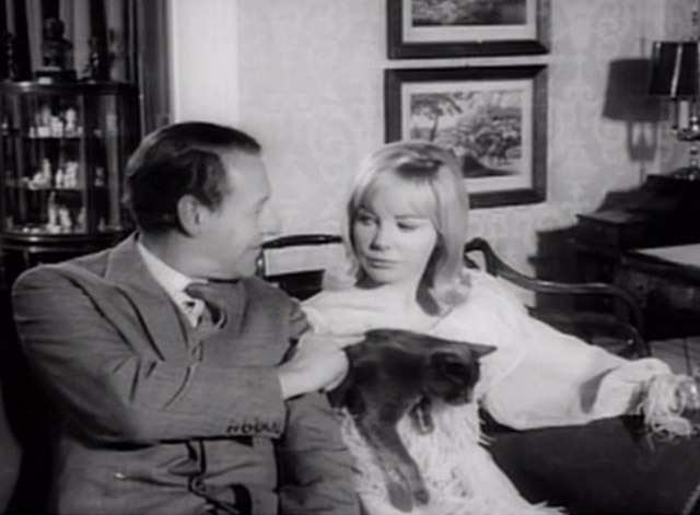 Having a Wild Weekend - Dinah Barbara Ferris holding gray cat on couch with Guy Robin Bailey petting cat