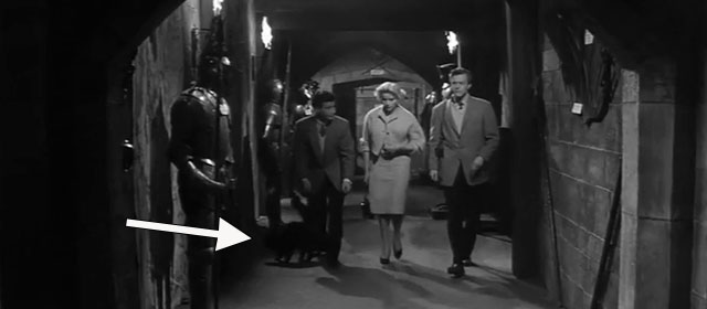 The Headless Ghost - Bill Richard Lyon,  Ingrid Liliane Sottane and Ronnie David Rose walking in corridor with longhair black cat