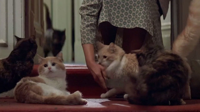 Heart and Souls - Agnes sets down food for several cats on porch