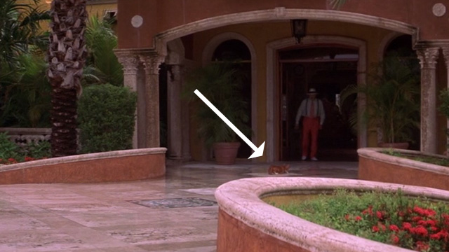 Heartbreakers - orange tabby cat sitting in front of mansion at William B. Tensy Gene Hackman exits