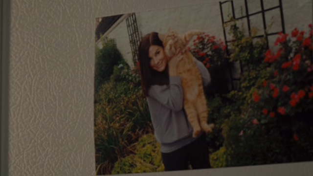 The Heat - photo of Ashburn Sandra Bullock holding up orange tabby cat Pumpkin