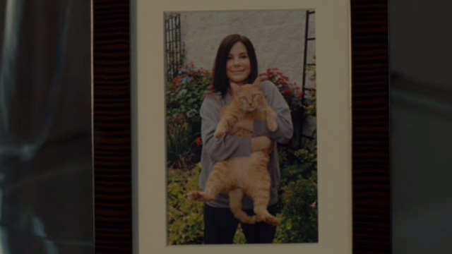 The Heat - photo of Ashburn Sandra Bullock holding orange tabby cat Pumpkin