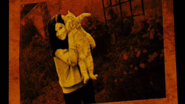 The Heat - photo of Ashburn Sandra Bullock holding up orange tabby cat Pumpkin