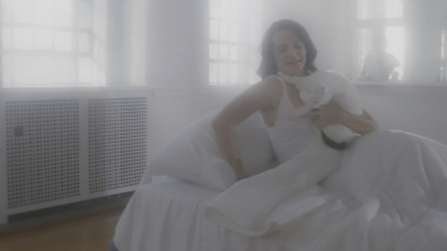 A Heavenly Christmas - Eve Kristin Davis picking up white cat Snowball