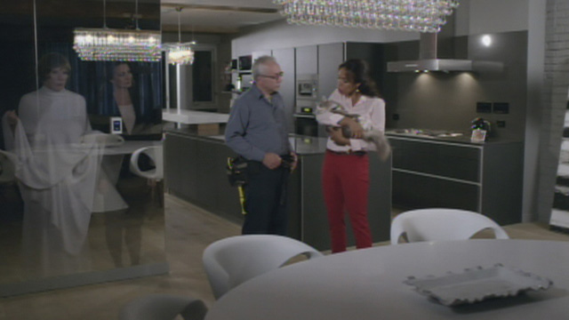 A Heavenly Christmas - gray and white Maine Coon cat Forbes being taken by neighbor