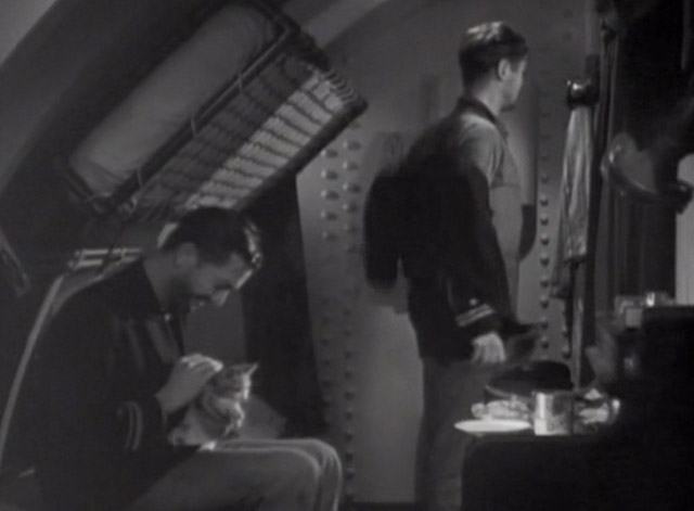 Hell Below - Robert Young petting calico cat on bunk with Robert Montgomery
