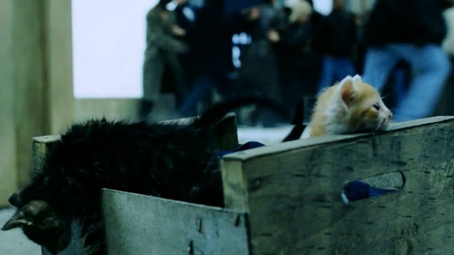 Hellboy - kittens in crate on subway platform