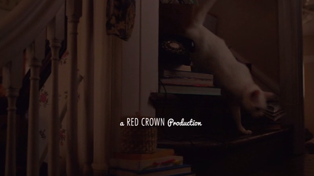 Hello My Name is Doris - white cat walking down stairs