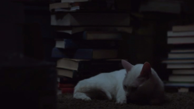 Hello My Name is Doris - white cat on floor surrounded by stacks of books