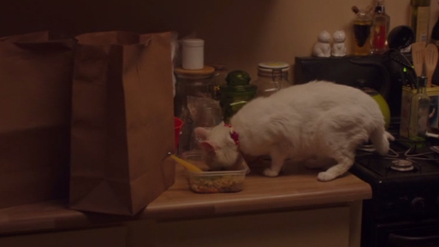 Hello My Name is Doris - white cat on counter eating food from container