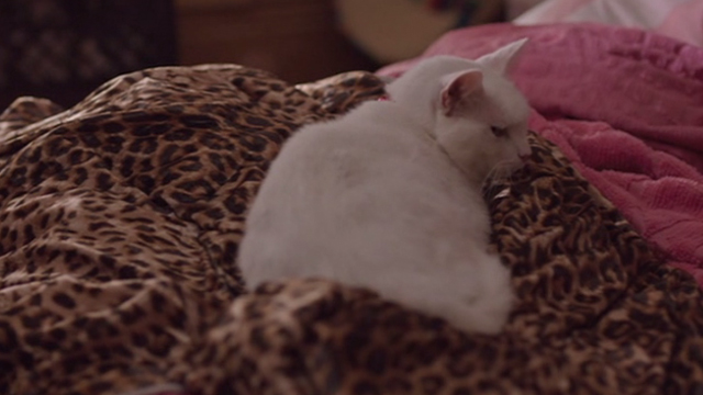 Hello My Name is Doris - white cat lying on bed