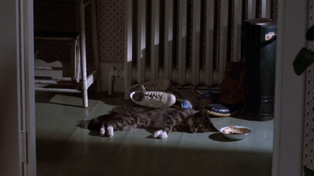 Her Alibi - small tabby cat Beeswax lying on floor near bowl