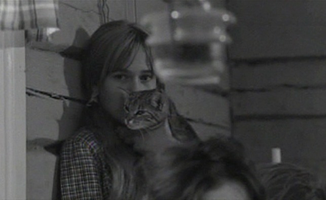 Here's Your Life - Maja with tabby cat