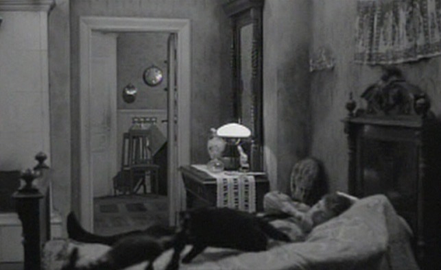 Here's Your Life - black cat gets off bed