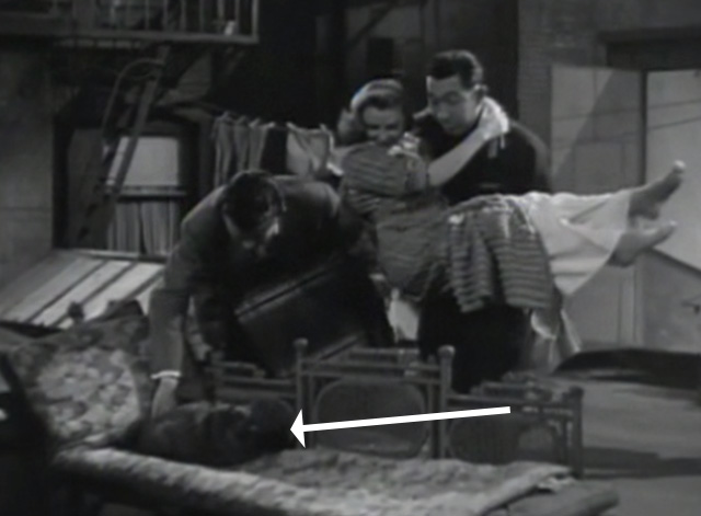 Her Highness and the Bellboy - long-haired gray cat on lounge chair being pushed by Jimmy Robert Walker with June Allyson and Rags Ragland