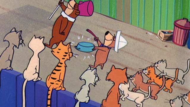 Hey There, It's Yogi Bear - cats on fence watch parade with Yogi, Boo Boo and other cats
