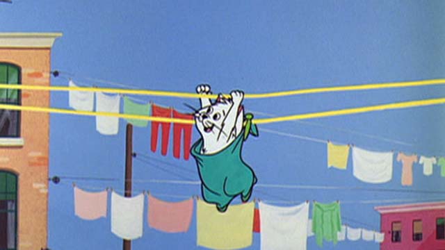 Hey There, It's Yogi Bear - white cat in stocking on clothesline