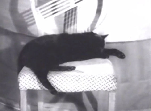 Hi Gang! - black cat Tiddles sleeping on chair
