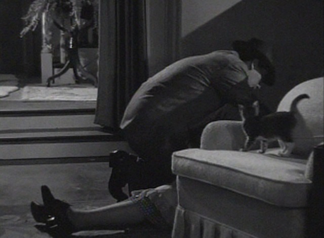 High Wall - tabby kitten near man and woman's body