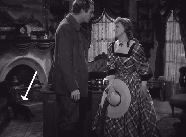 High, Wide and Handsome - black cat on floor behind Peter Randolph Scott and Sally Irene Dunne