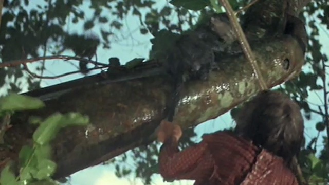 A High Wind in Jamaica - Tabby cat in tree with Emily Deborah Baxter pulling on tail