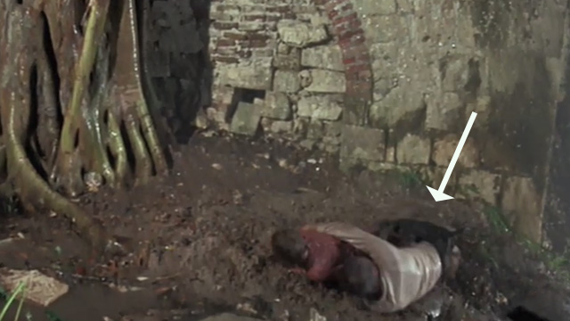 A High Wind in Jamaica - Tabby cat on top of Emily and her father on ground