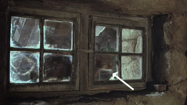 A High Wind in Jamaica - tabby cat outside window