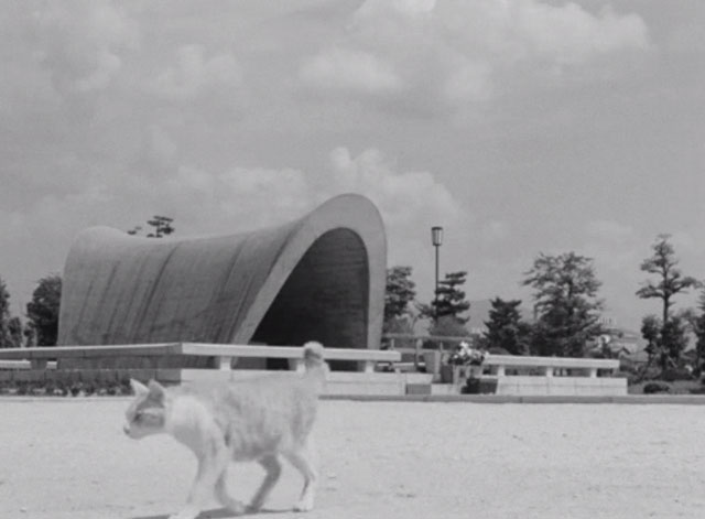 Hiroshima Mon Amour - light colored cat with kinked tail walking across screen